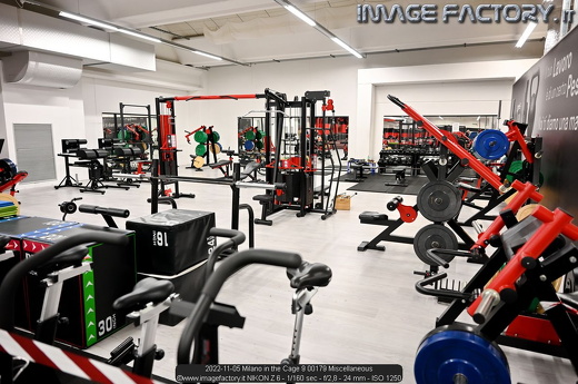 2022-11-05 Milano in the Cage 9 00179 Miscellaneous